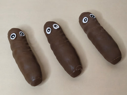 Squishy Poo | Fidget Poop Toy